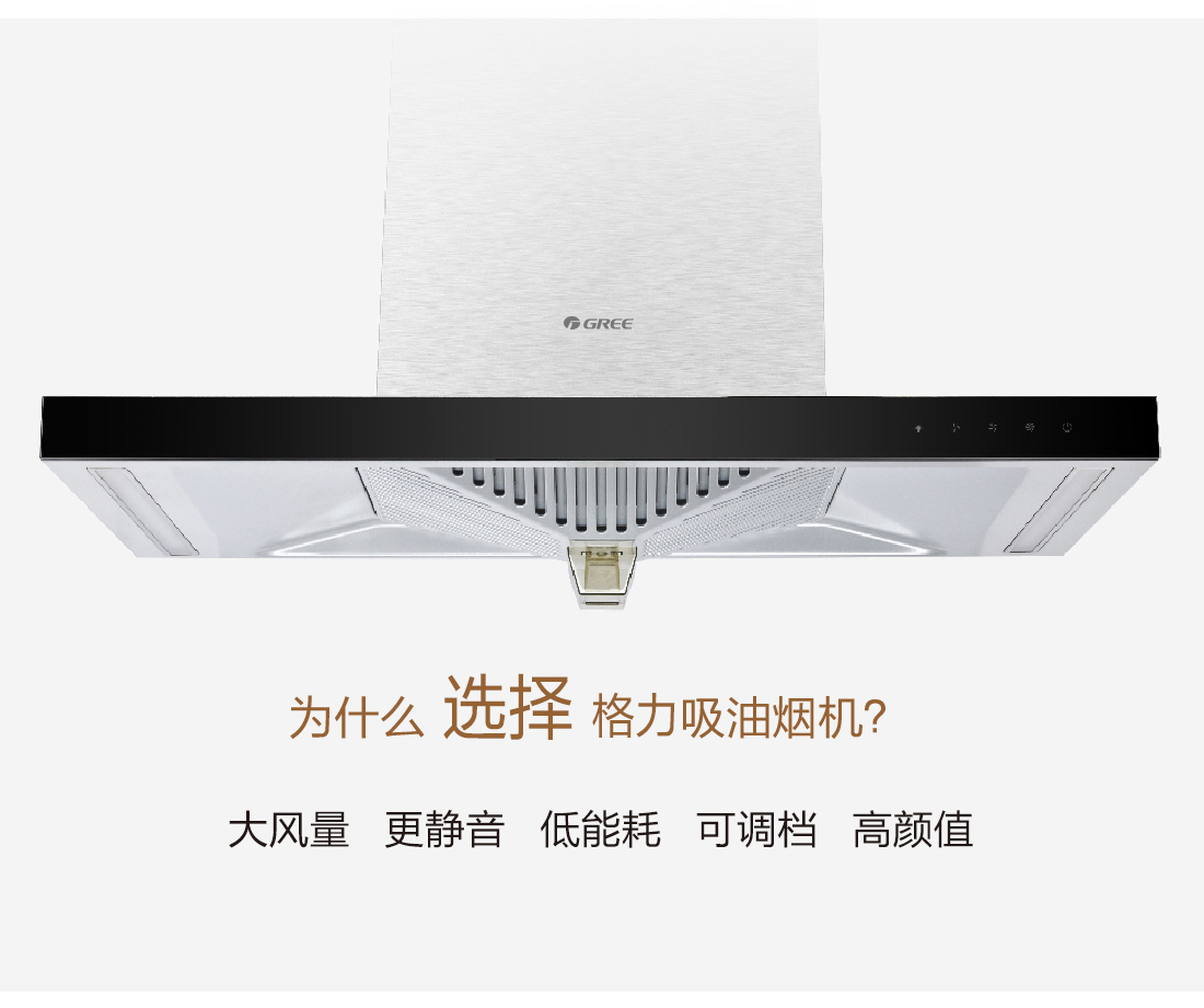 跨風(fēng)者抽油煙機CXW-200-TCD02
