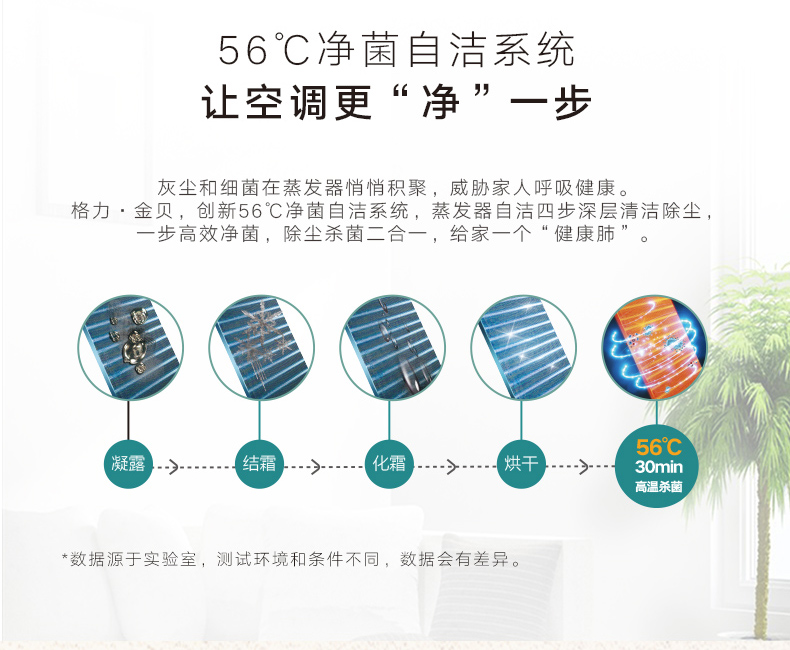 金貝