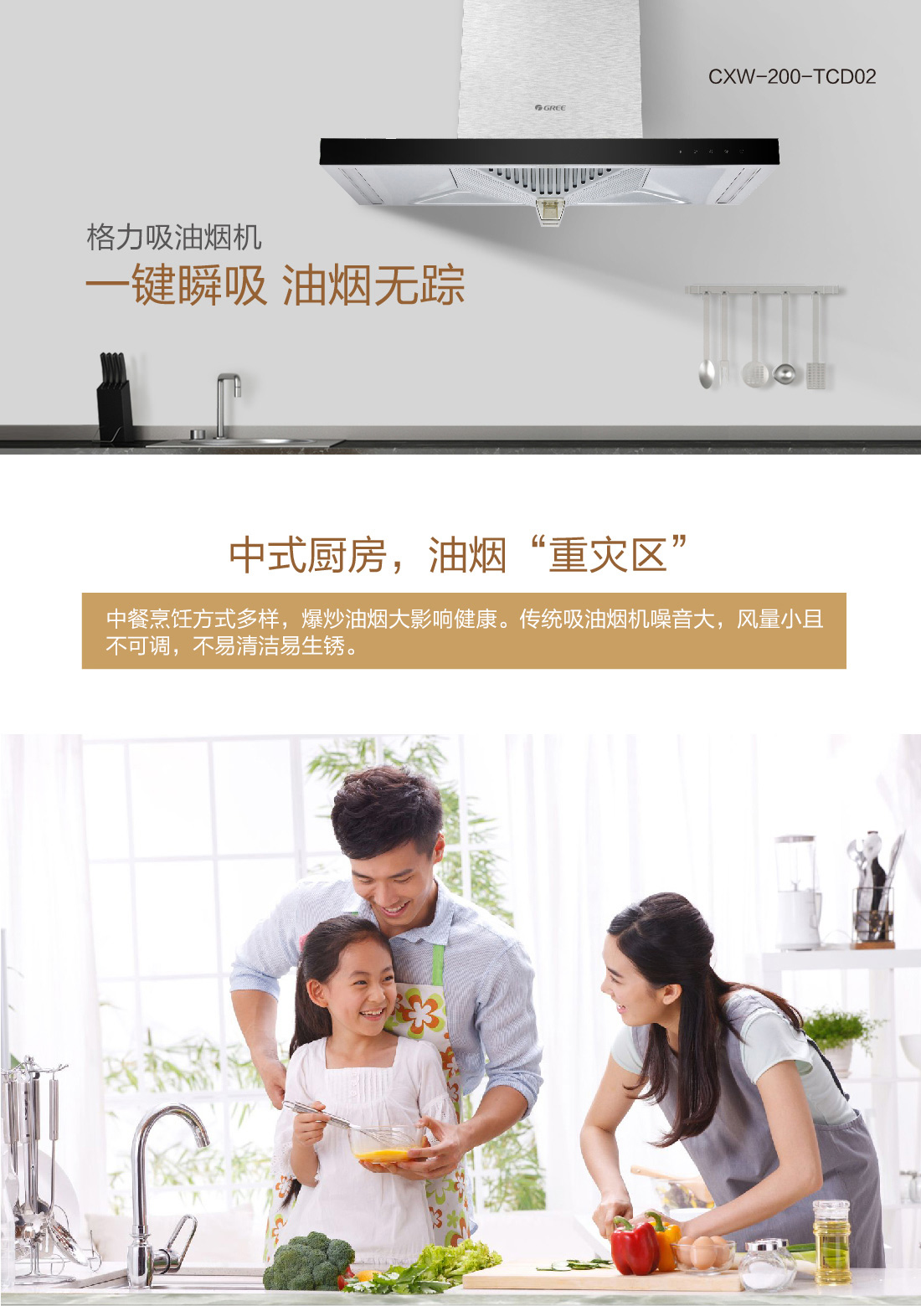 跨風(fēng)者抽油煙機CXW-200-TCD02
