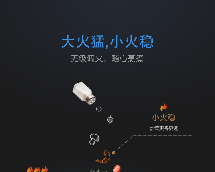 穩火直噴燃氣灶JZT-QS03BJZY-QS03B